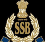 Untitled design (11)