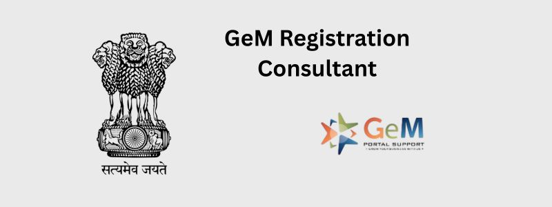 GEM Portal Consultant