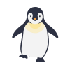 Google Penguin