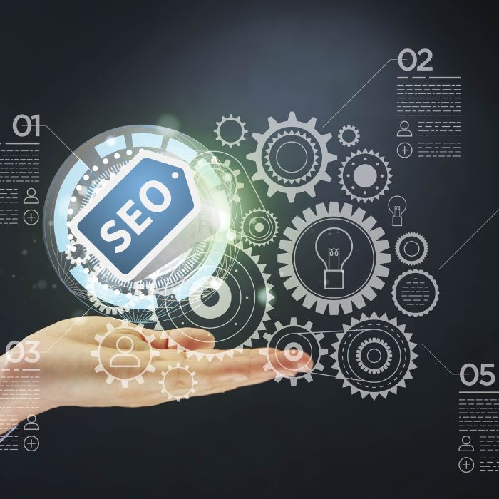 SEO Services in Noida